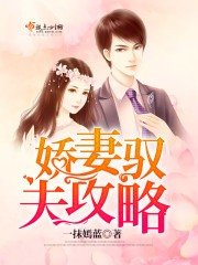 嬌妻馭夫攻略