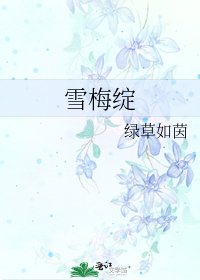雪梅绽