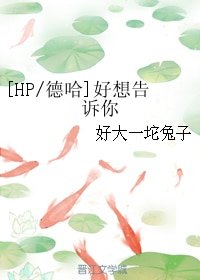 （BL/HP/德哈同人）好想告诉你